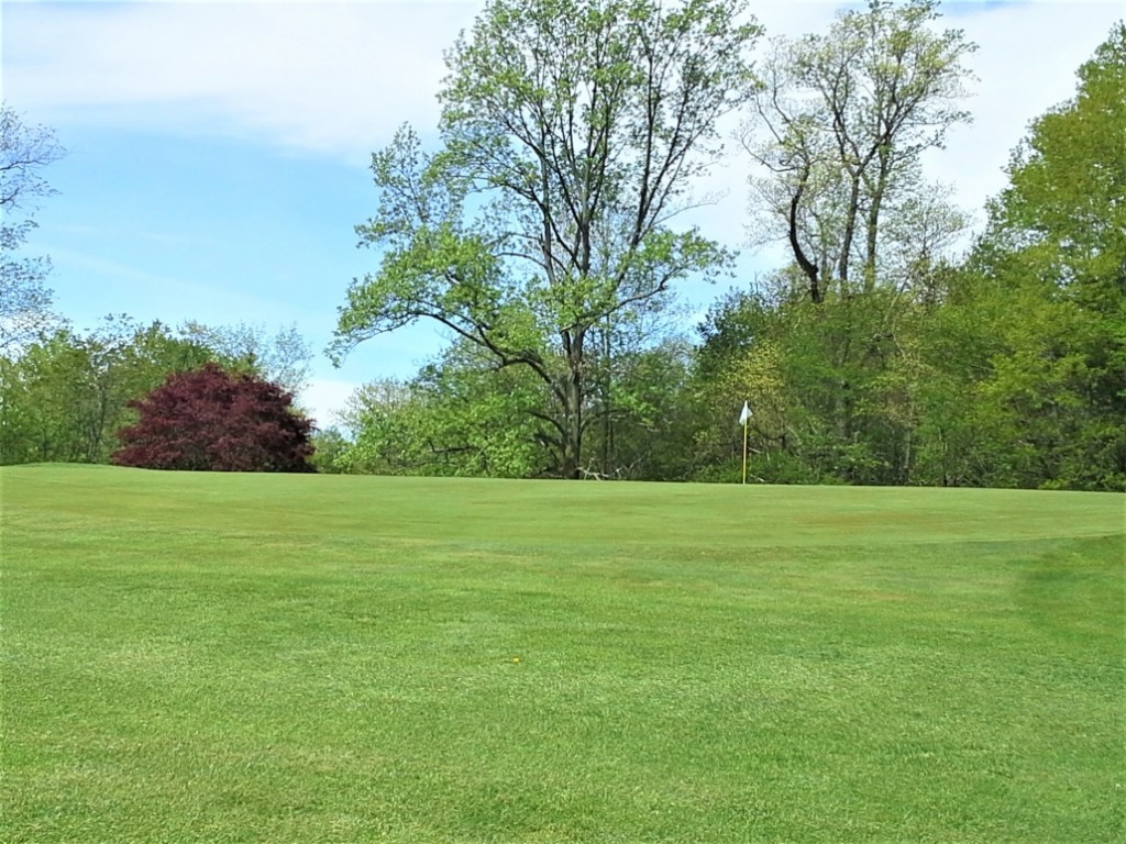 Trees on golf course fairway