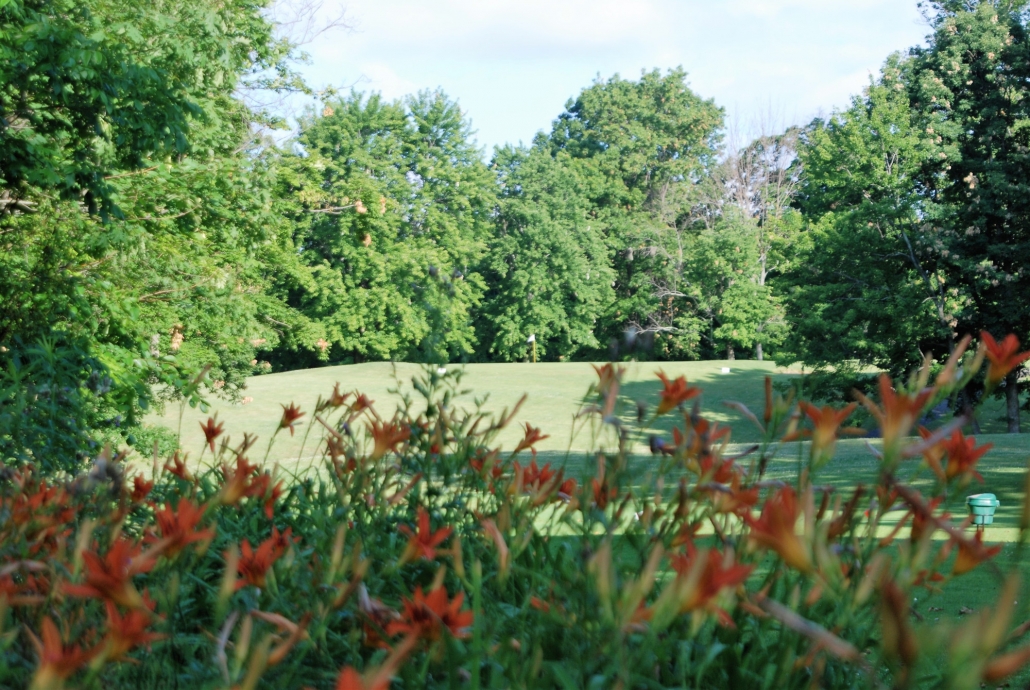 Red flowers on golf course
