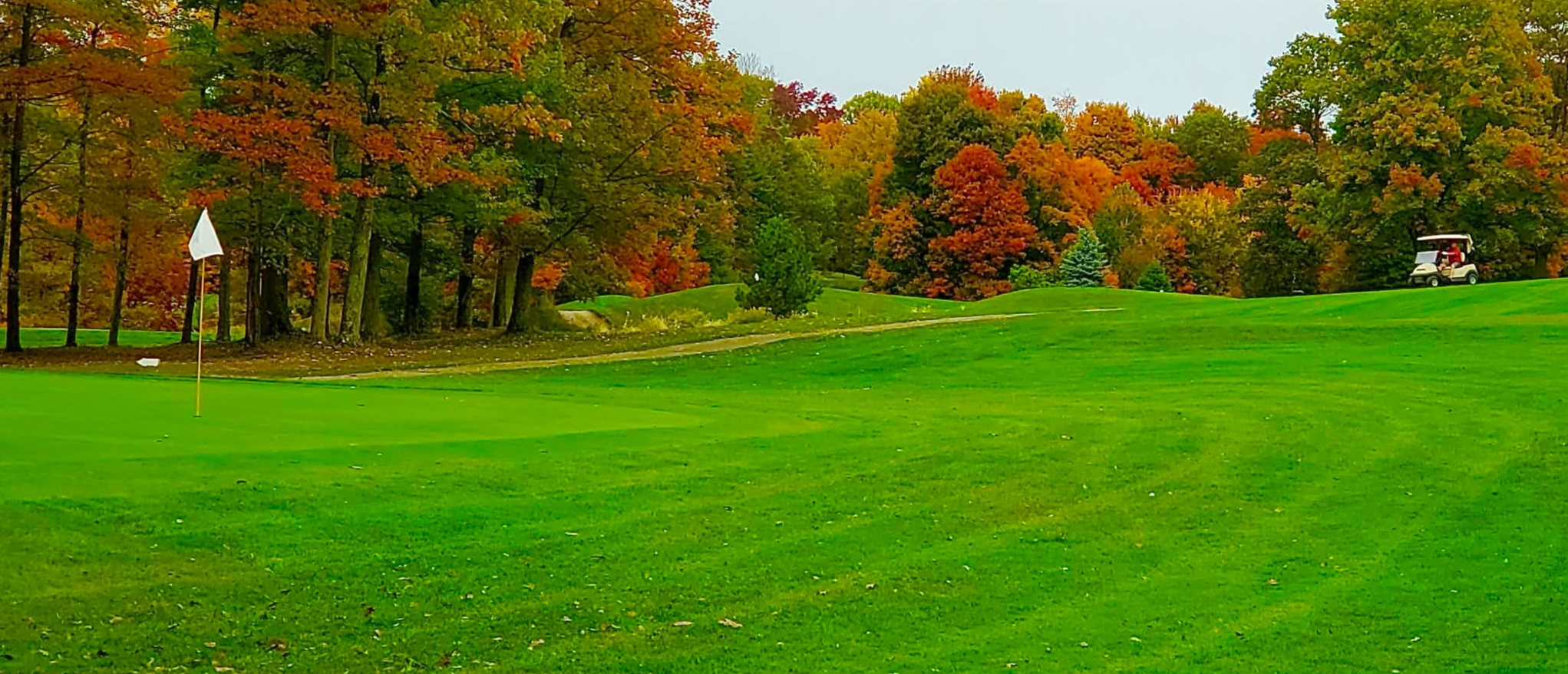 Image of golf ball on tee on grass.